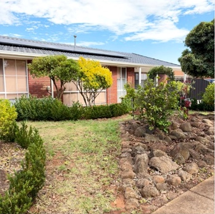 Garden rockery and front yard area